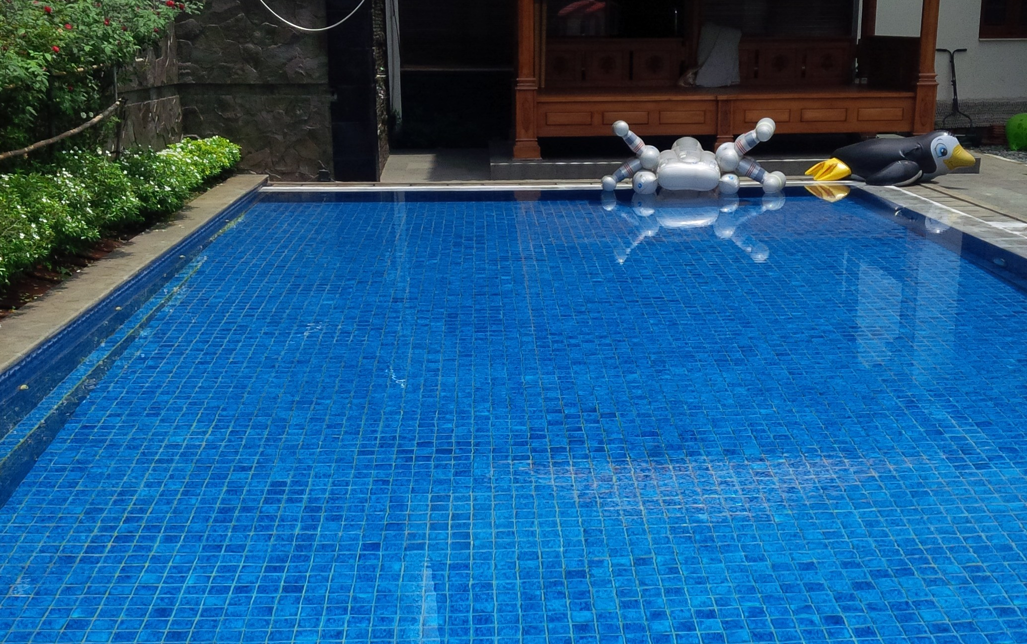 Jasa perawatan kolam renang